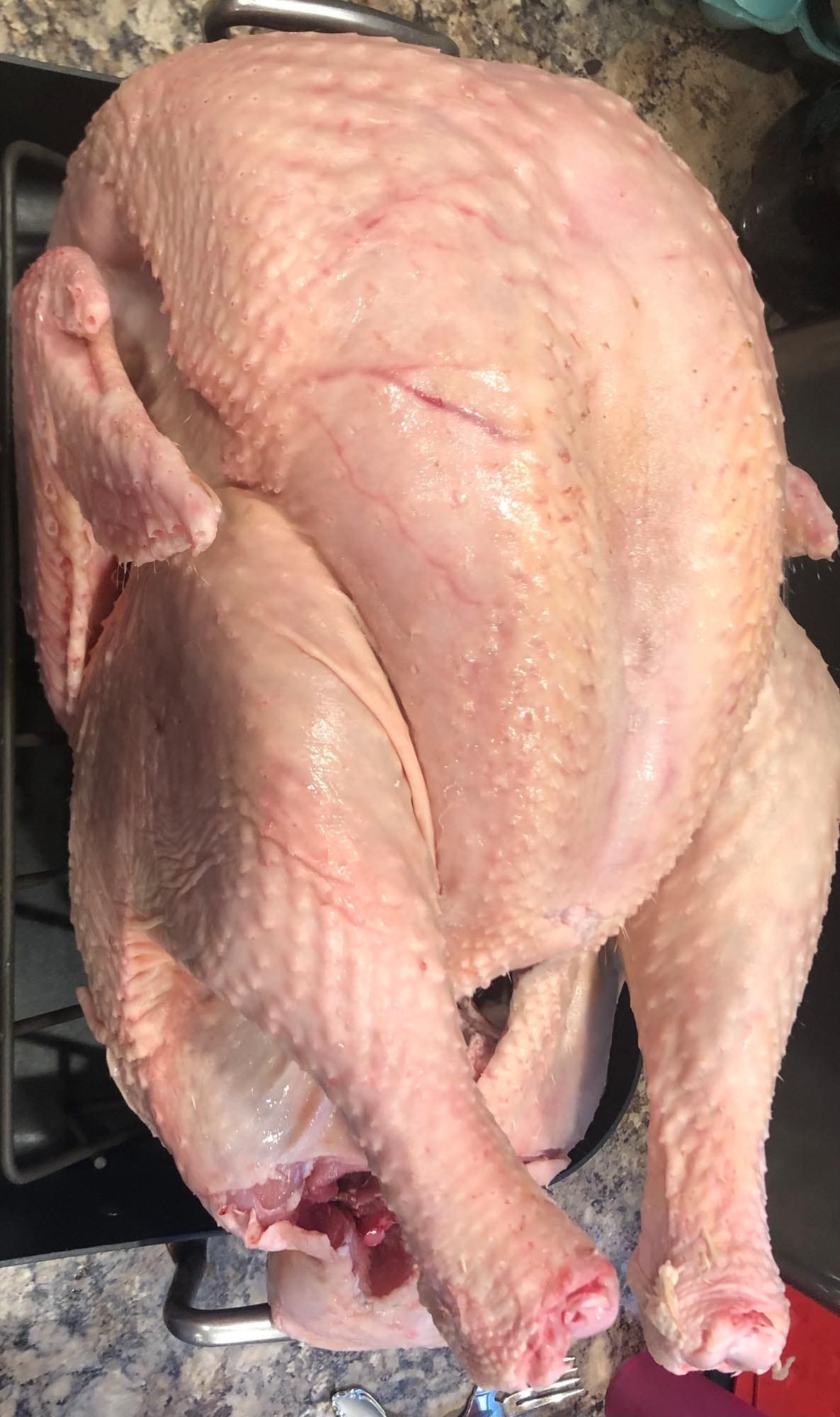 Pasture-Raised Whole Turkey